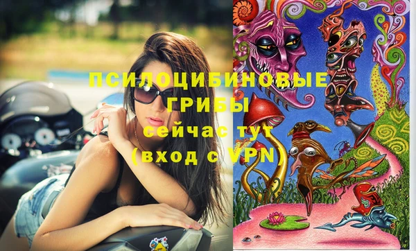 прущие крисы Осинники