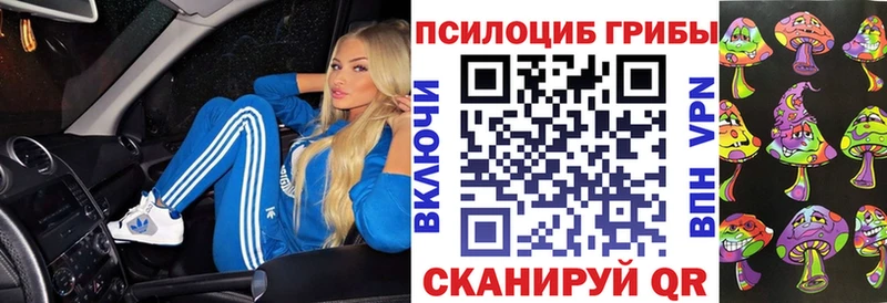 Купить  Азнакаево  Псилоцибиновые грибы прущие грибы
