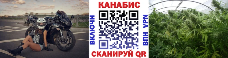 Купить где  Азнакаево  Конопля планчик 